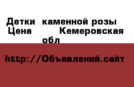 Детки “каменной розы“ › Цена ­ 50 - Кемеровская обл.  »    